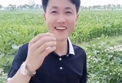 被永久封杀的6大网红：为博流量不择手段个个丑态百出毫无底线
