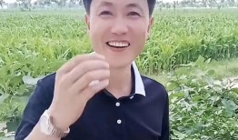 被永久封杀的6大网红：为博流量不择手段个个丑态百出毫无底线